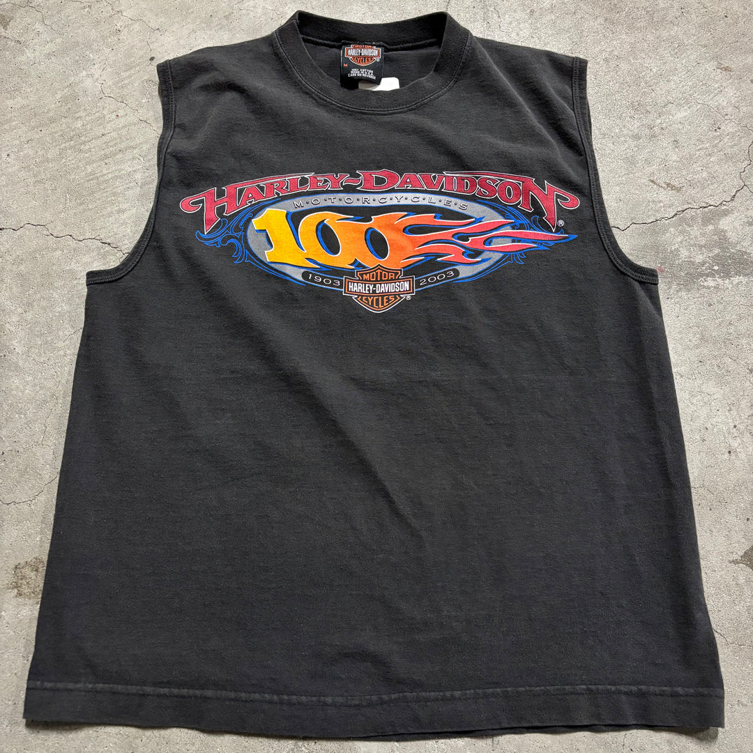 古着  USA製 Harley-Davidson /ハーレー ダビッドソン/ プリントTシャツ/ ノースリーブ/ サイズM