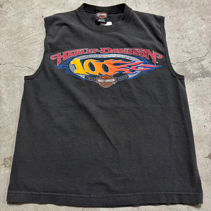 古着  USA製 Harley-Davidson /ハーレー ダビッドソン/ プリントTシャツ/ ノースリーブ/ サイズM