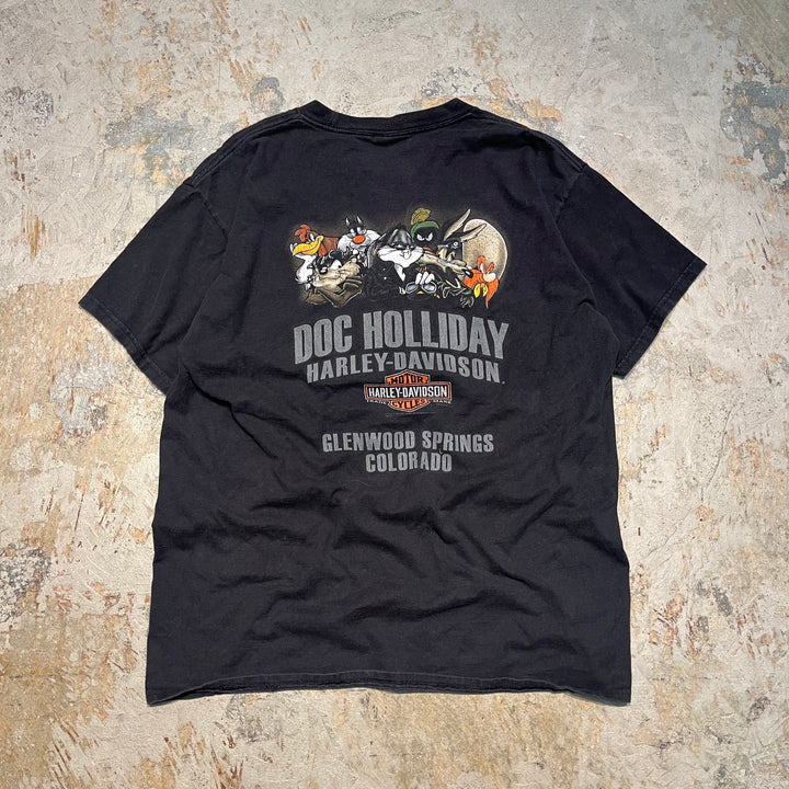 古着 Harley-Davidson/ハーレー ダビッドソン / ワーナーブラザーズ / コロラド州 グレンウッド・スプリングス ストア  / プリントTシャツ / サイズL相当