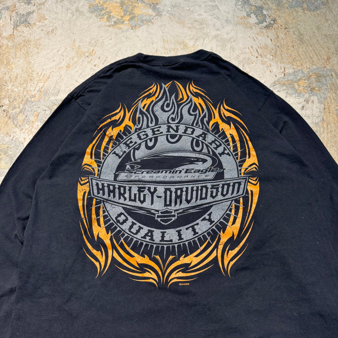 Used clothing HARLEY-DAVIDSON/ Harley Davidson/Long T/ Equivalent to size L-XL