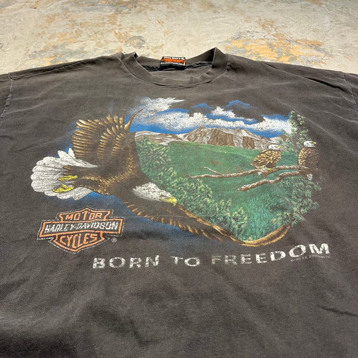 #4292 Harley-Davidson/ハーレーダビッドソン/short sleeve t-shirt Tee/シングルステッチ/半袖Tシャツ/MADE IN U.S.A/サイズXL