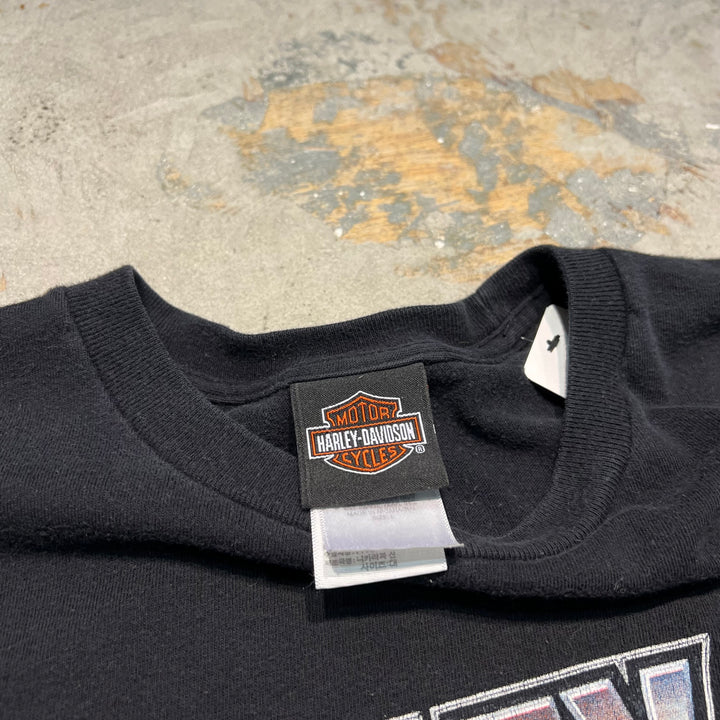 古着 Harley-Davidson  /ハーレー ダビッドソン / ノースカロライナ州 ナグス・ヘッド ストア / プリントTシャツ / サイズL