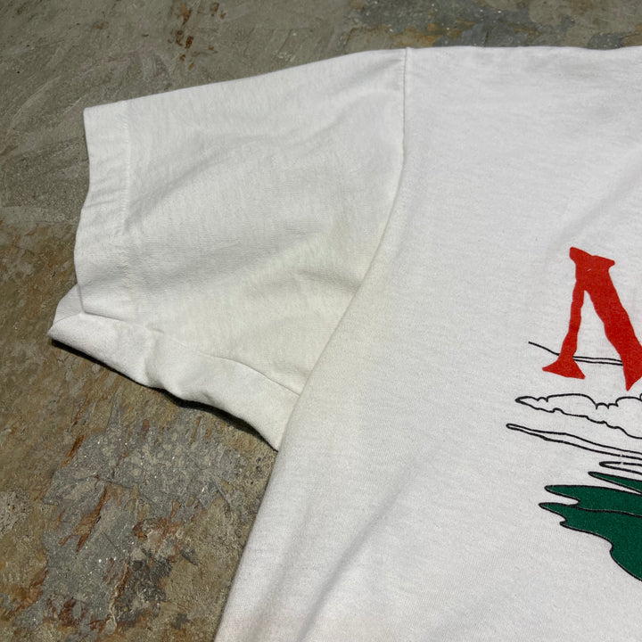 #4645 古着 USAvintage MICHIGAN APPLES /ヴィンテージ シングルステッチ Tシャツ/サイズXXL相当