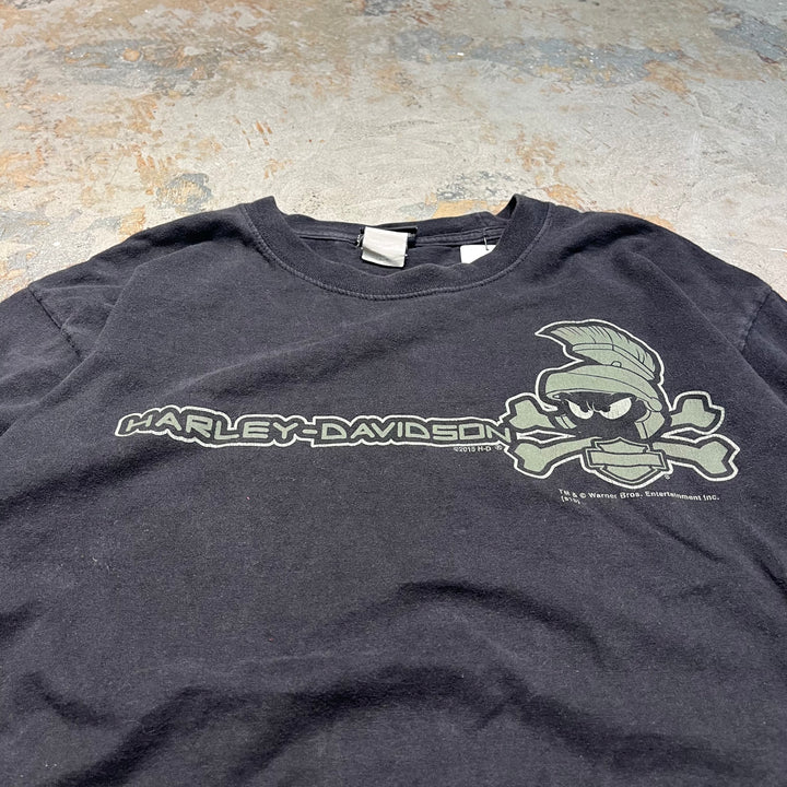 古着 Harley-Davidson/ハーレー ダビッドソン / ワーナーブラザーズ / コロラド州 グレンウッド・スプリングス ストア  / プリントTシャツ / サイズL相当