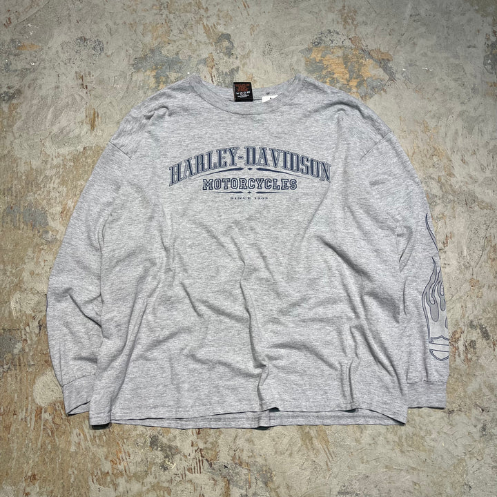 古着 Harley-Davidson/ハーレー ダビッドソン/ラスベガス/ネバダ州/プリントロングTシャツ サイズXXL