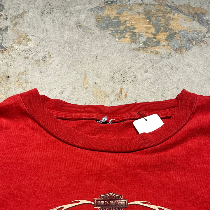 古着 Harley-Davidson/ハーレー ダビッドソン ジョージア州 ロズウェル キラー・クリーク店 プリントTシャツ サイズXL相当