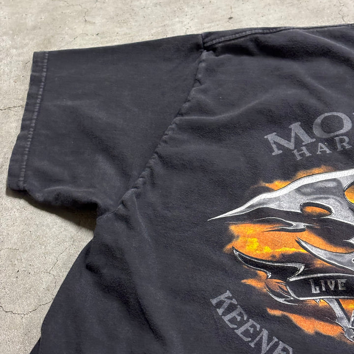 古着 USA製 Harley-Davidson/ハーレーダビッドソン/ プリントTシャツ/ サイズXL