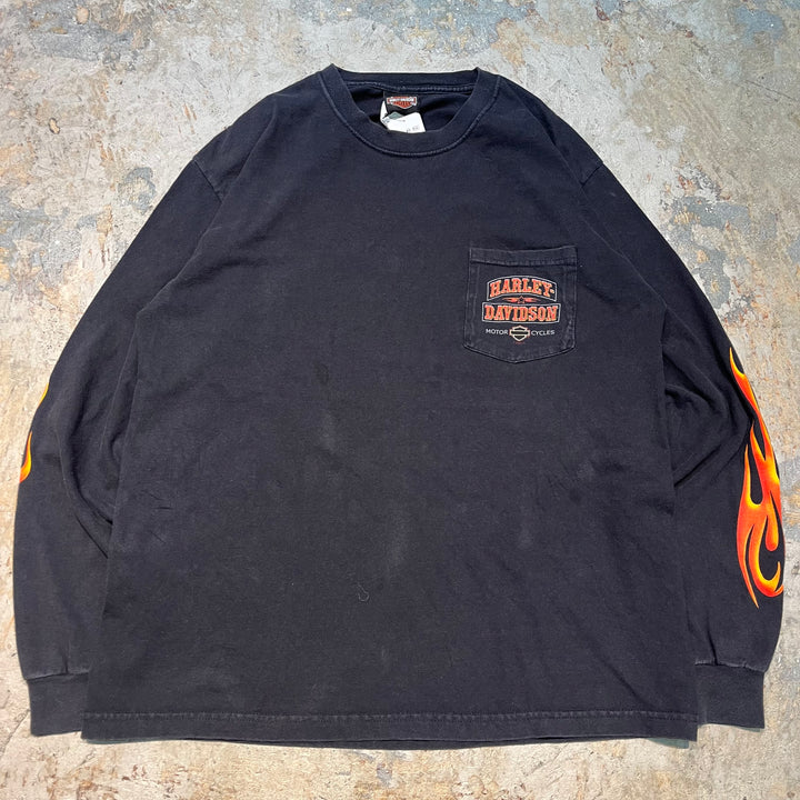 古着 Harley-Davidson/ハーレーダビッドソン/ プリントロングTシャツ/ サイズL