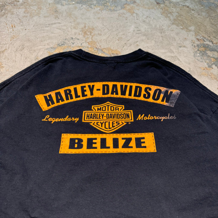 古着 Harley-Davidson/ハーレーダビッドソン/ プリントロングTシャツ/ サイズ2XL相当