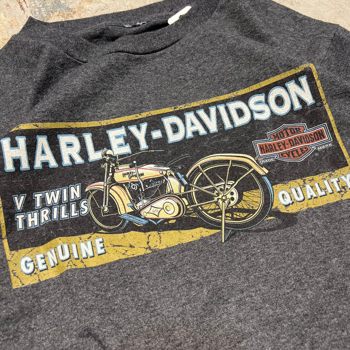 古着 Harley-Davidson  /ハーレー ダビッドソン / アラスカ州 スカグウェイ/ チルクートパス / 峠 / プリントTシャツ / サイズXL相当