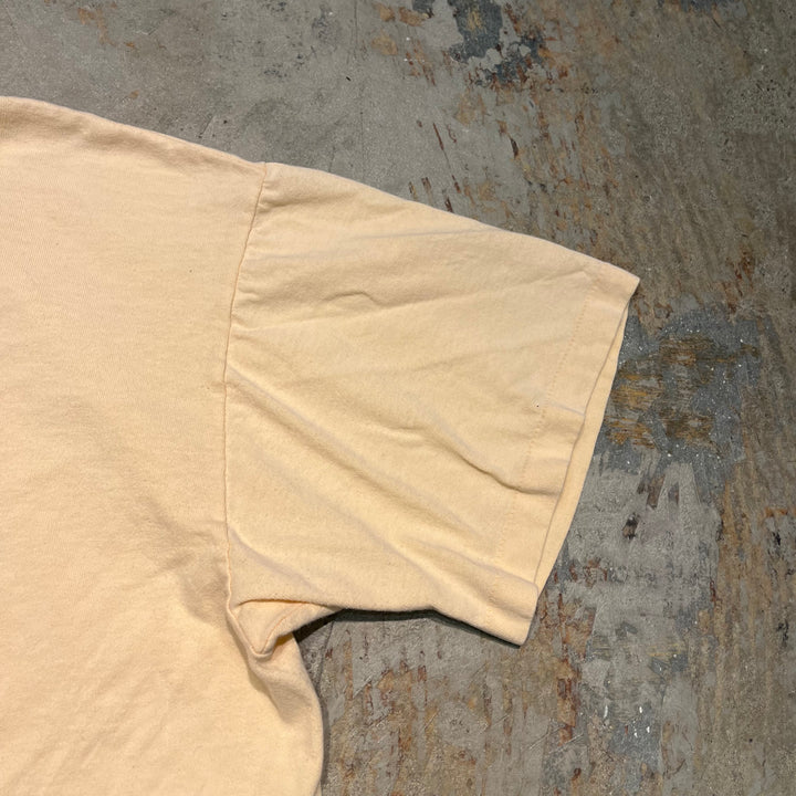 古着 USA製 アヴァロン 伝説の島/ニュー・ジャージー州/ヴィンテージ シングルステッチ プリントTシャツ / サイズXL