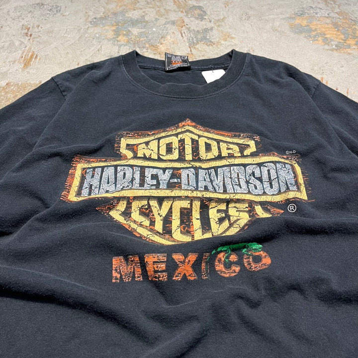 古着Harley-Davidson/ハーレー ダビッドソン/リビエラ・マヤ/メキシコ/プリントTシャツ サイズM相当