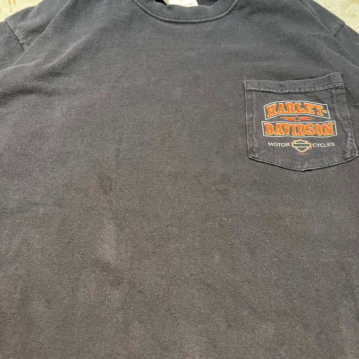 古着 Harley-Davidson/ハーレーダビッドソン/ プリントロングTシャツ/ サイズL
