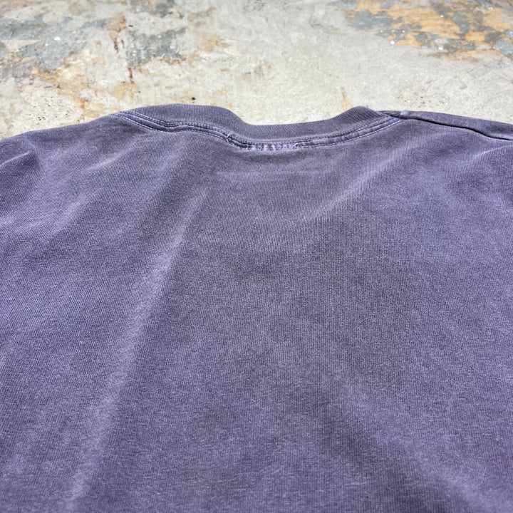 古着 Monster DUNKER/ダズマニアン・デビル/ルーニーテューンズ/ワーナーブラザース/ヴィンテージ シングルステッチ プリントTシャツ/サイズL-XL相当