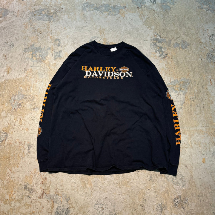 古着 Harley-Davidson/ハーレーダビッドソン/ プリントロングTシャツ/ サイズ2XL相当