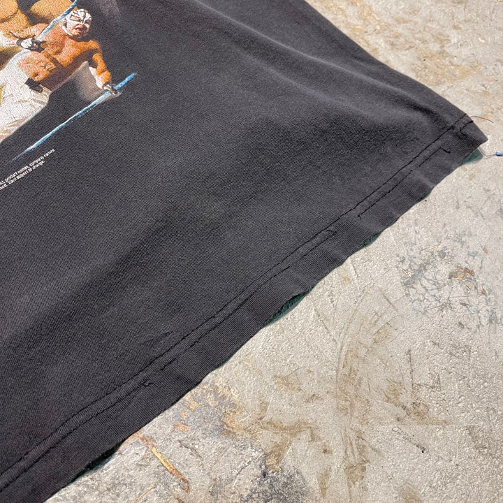 古着 USAVINtage / プロレス / WWE レッスルマニア21 / 2005.2.4RAW公演記念 / イベントTシャツ / サイズM