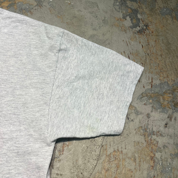 古着 USA製 93's Lee/リー/シカゴ・ブルズ/ワーナーブラザーズ/NBA/ヴィンテージ プリントTシャツ/サイズXL