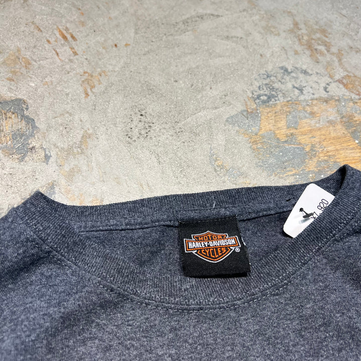 古着 Harley-Davidson  /ハーレー ダビッドソン / A SMOKY MOUNTAIN OUTPOST / テネシー州 モンロー郡 テリコ・プレインズ ストア / チェロハラ・スカイウェイ / ロングTシャツ / サイズXL相当