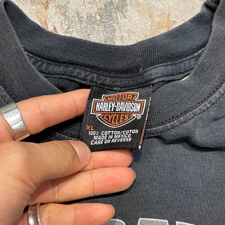Used clothing Made in USA Harley-Davidson / France Biarletts Store / Printed T-shirt / Size XL
