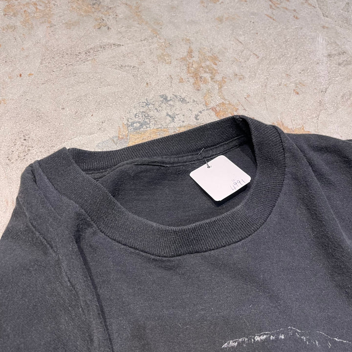 古着 90's USAVINTAGE / エルビス・プレスリー I've Boon to graceland / バンドTシャツ / サイズXL相当