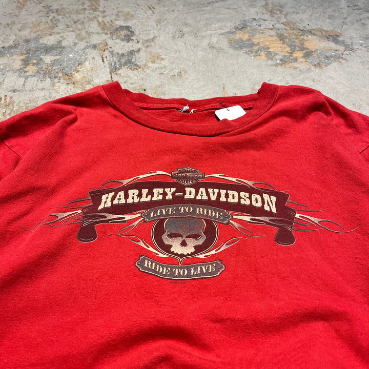 古着 Harley-Davidson/ハーレー ダビッドソン ジョージア州 ロズウェル キラー・クリーク店 プリントTシャツ サイズXL相当