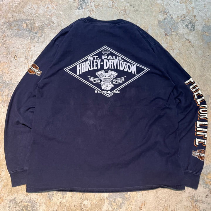 古着 Harley-Davidson/ハーレーダビッドソン/ プリントロングTシャツ/ サイズL