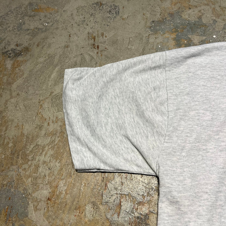 古着 90's フルーツオブザルーム/DUCK/鴨/アート/ヴィンテージ シングルステッチ プリントTシャツ/サイズL