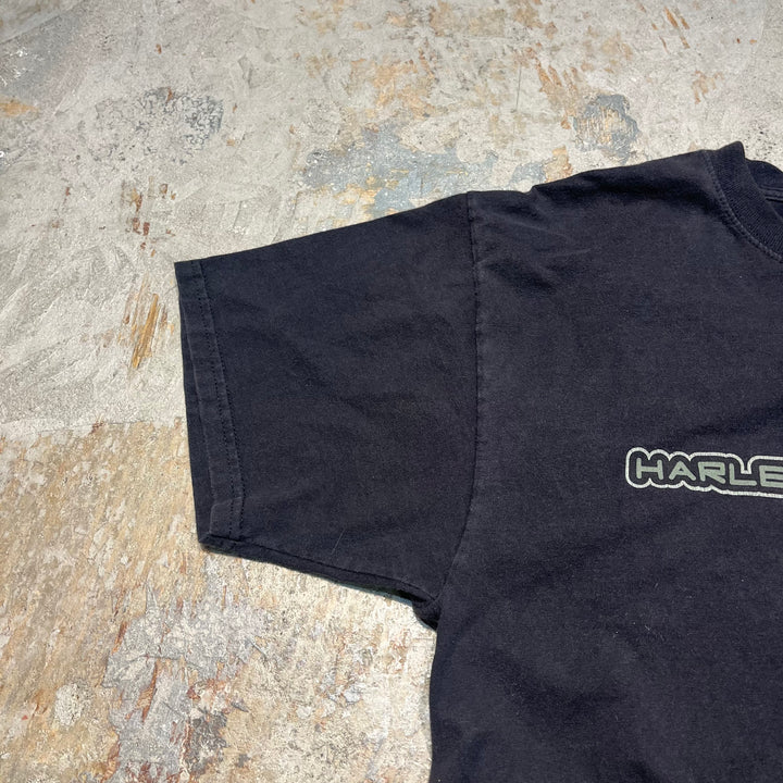 古着 Harley-Davidson/ハーレー ダビッドソン / ワーナーブラザーズ / コロラド州 グレンウッド・スプリングス ストア  / プリントTシャツ / サイズL相当