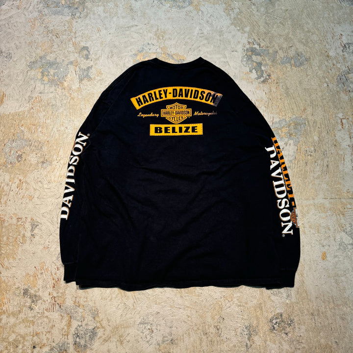 古着 Harley-Davidson/ハーレーダビッドソン/ プリントロングTシャツ/ サイズ2XL相当