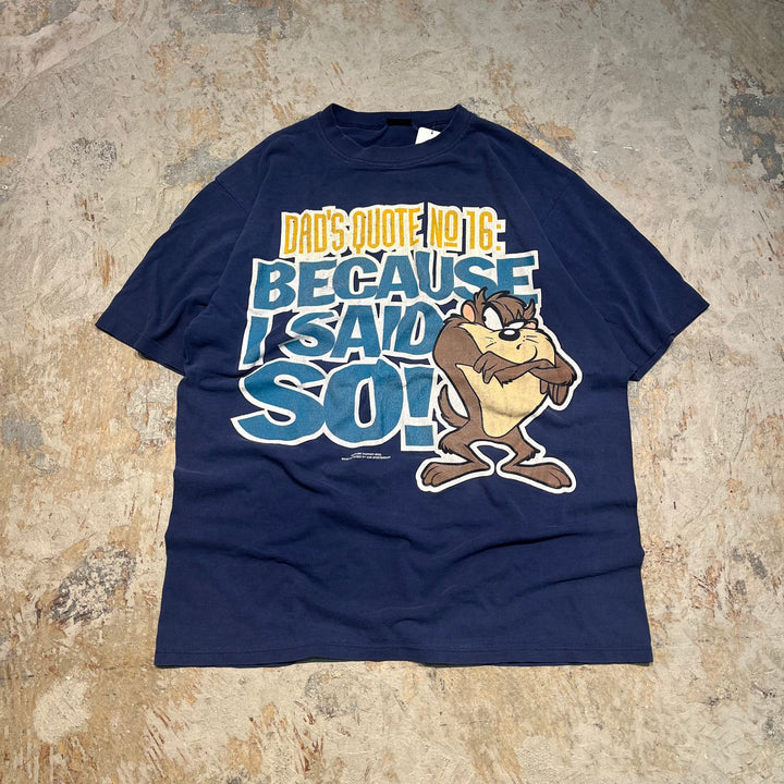 #4817 古着 95's ルーニー・テューンズ/ダズマニアン・デビル/WB/ヴィンテージ/Tシャツ/シングルステッチ/サイズ2XL相当