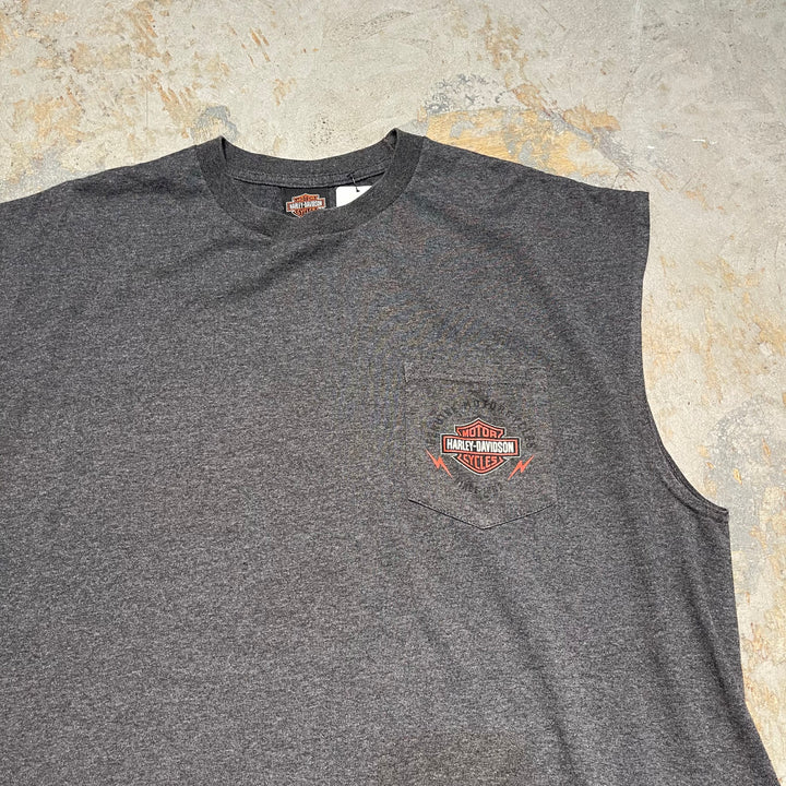 古着 Harley-Davidson/ハーレーダビッドソン/デイトン/オハイオ州/ノースリーブプリントTシャツ/サイズ2XL