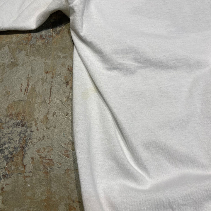 #4645 古着 USAvintage MICHIGAN APPLES /ヴィンテージ シングルステッチ Tシャツ/サイズXXL相当