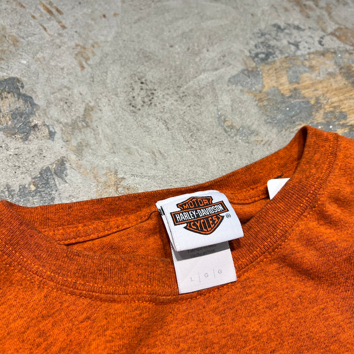 古着 Harley-Davidson  /ハーレー ダビッドソン / カリフォルニア州 サンフランシスコ ダドリー・パーキンス ストア / プリントTシャツ / サイズL