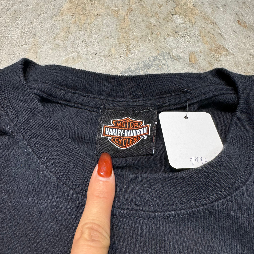 Used clothing HARLEY-DAVIDSON/ Harley Davidson/Long T/ Equivalent to size L-XL