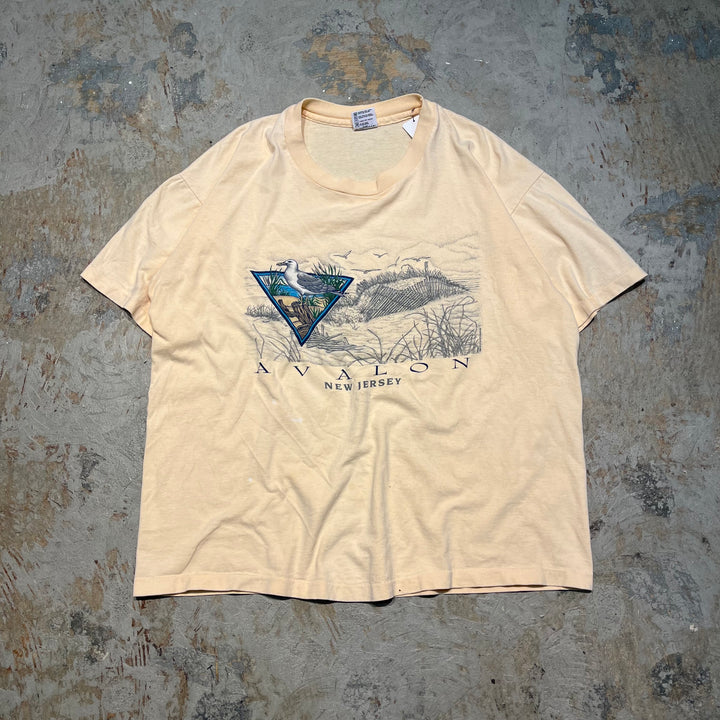 古着 USA製 アヴァロン 伝説の島/ニュー・ジャージー州/ヴィンテージ シングルステッチ プリントTシャツ / サイズXL