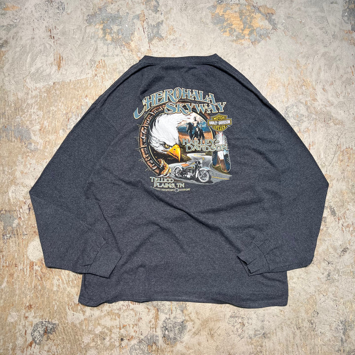 古着 Harley-Davidson  /ハーレー ダビッドソン / A SMOKY MOUNTAIN OUTPOST / テネシー州 モンロー郡 テリコ・プレインズ ストア / チェロハラ・スカイウェイ / ロングTシャツ / サイズXL相当