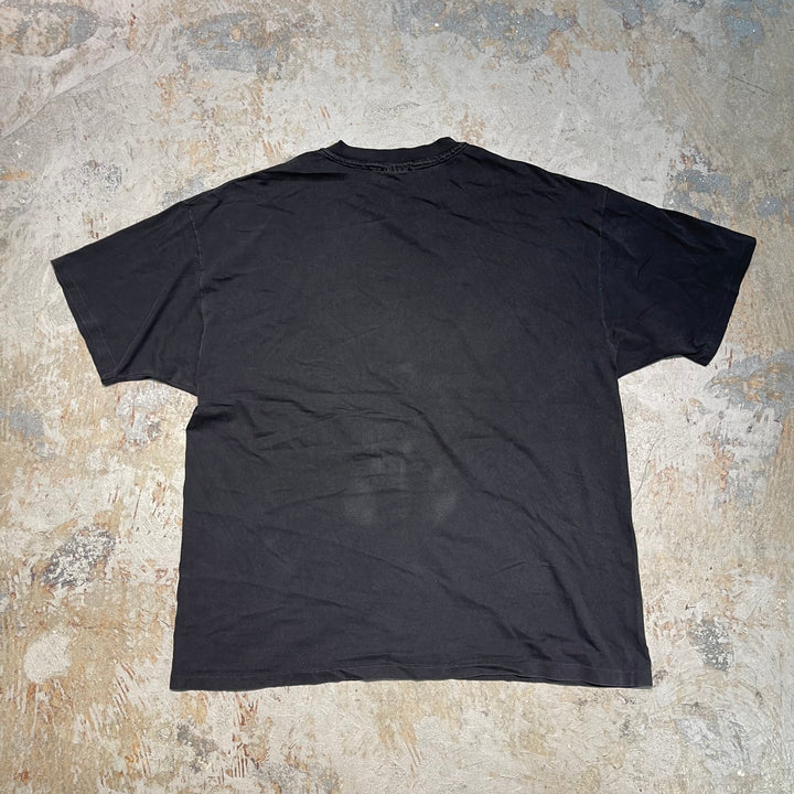 #4851 古着 90's~ pecos river learning centers/企業系/USA製/シングルステッチ/ヴィンテージ/Tシャツ/サイズXXL