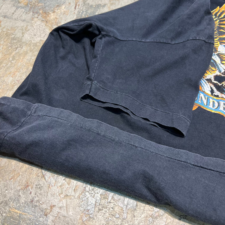 古着 鷲/イーグル/ヴィンテージ シングルステッチ プリントTシャツ/サイズL