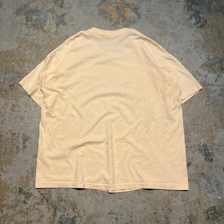 古着 USA製 アヴァロン 伝説の島/ニュー・ジャージー州/ヴィンテージ シングルステッチ プリントTシャツ / サイズXL