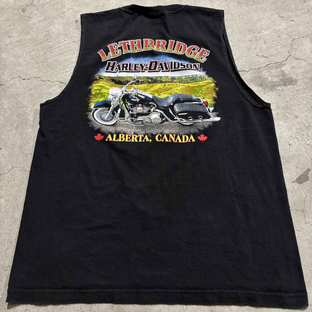 古着  USA製 Harley-Davidson /ハーレー ダビッドソン/ プリントTシャツ/ ノースリーブ/ サイズL