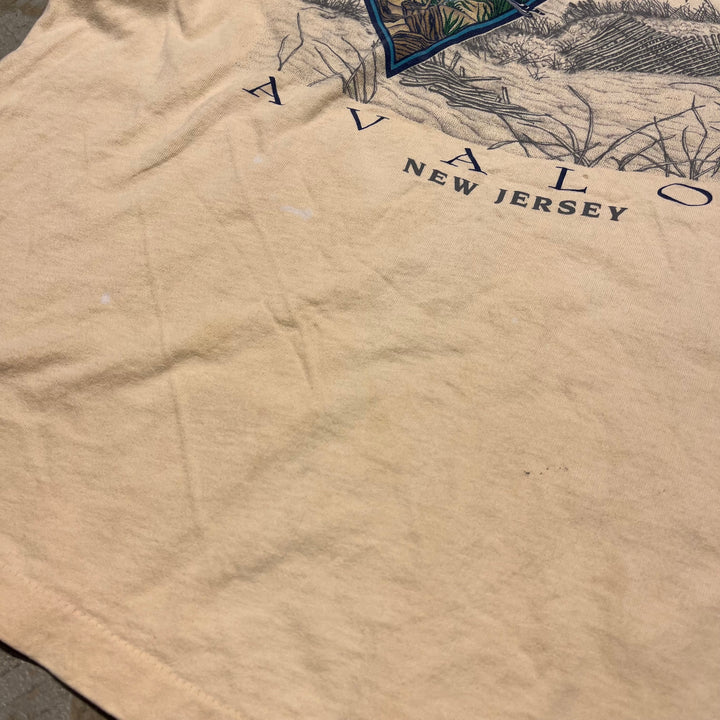 古着 USA製 アヴァロン 伝説の島/ニュー・ジャージー州/ヴィンテージ シングルステッチ プリントTシャツ / サイズXL