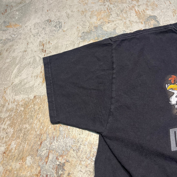 古着 Harley-Davidson/ハーレー ダビッドソン / ワーナーブラザーズ / コロラド州 グレンウッド・スプリングス ストア  / プリントTシャツ / サイズL相当