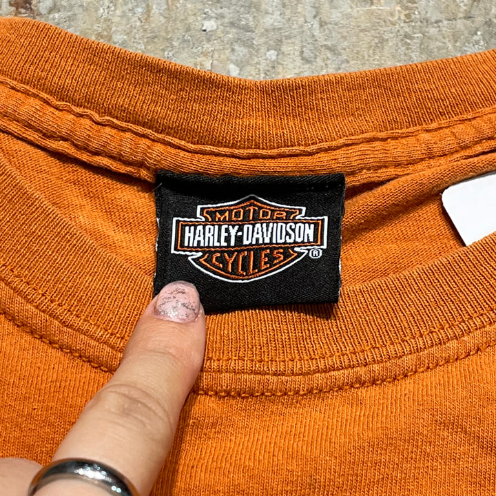 古着 Harley-Davidson/ハーレー ダビッドソン Screamin Eagle プリントTシャツ サイズXL相当