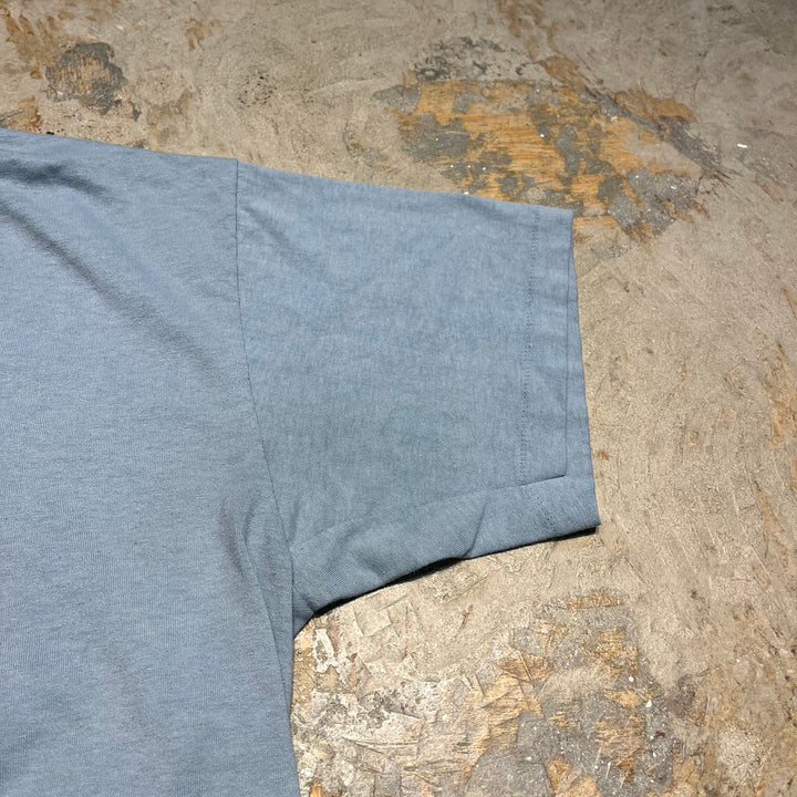 古着 USA製 90's~ ヘインズ/CAMP CHAWANAKEE/キャンプ・チャワナキー 1995/児童キャンプ/シェイバーレイク/企業系/ヴィンテージ シングルステッチ Tシャツ/サイズXL相当