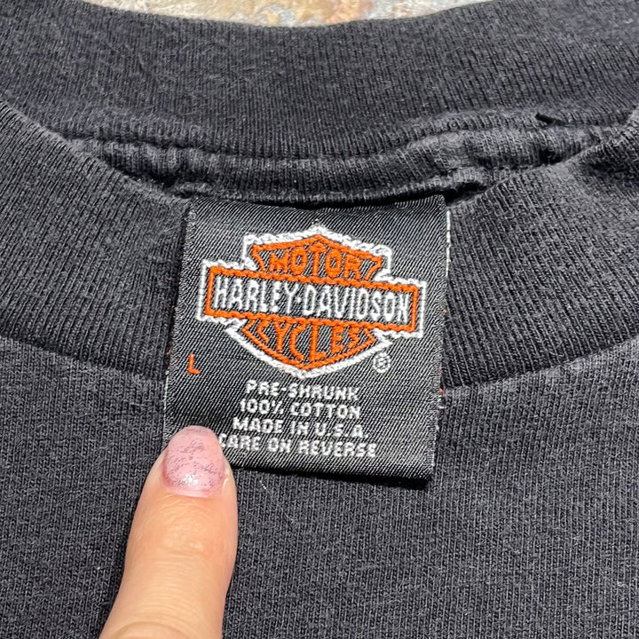 古着 USA製 Harley-Davidson/ハーレー ダビッドソン/エル・パソ/テキサス州/プリントTシャツ サイズL