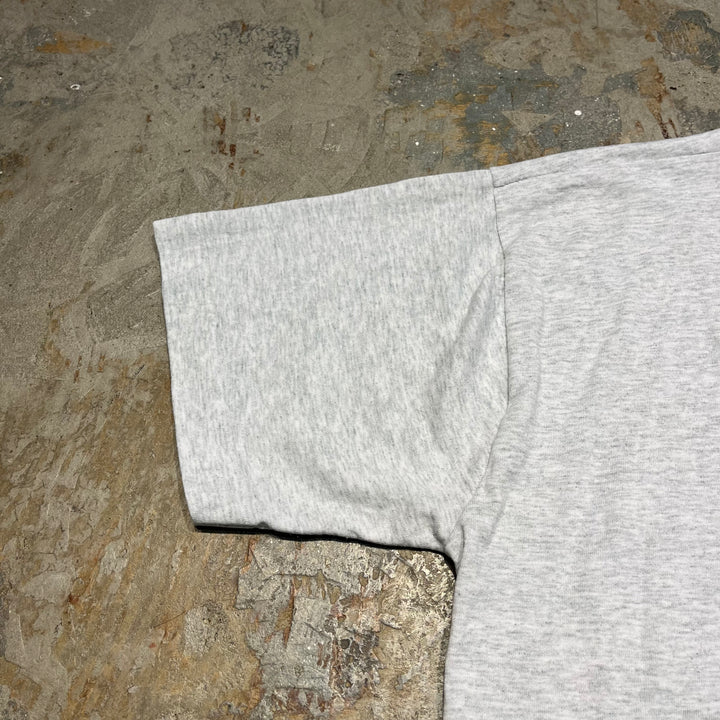 古着 90's フルーツオブザルーム/DUCK/鴨/アート/ヴィンテージ シングルステッチ プリントTシャツ/サイズL