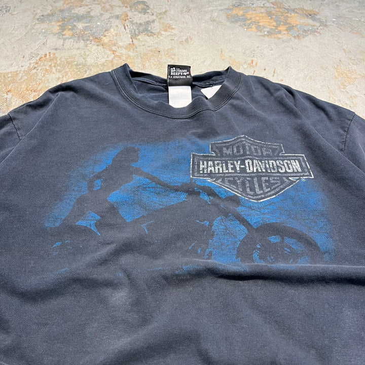 古着 Harley-Davidson/ハーレー ダビッドソン バージニア・ビーチ プリントTシャツ サイズXL
