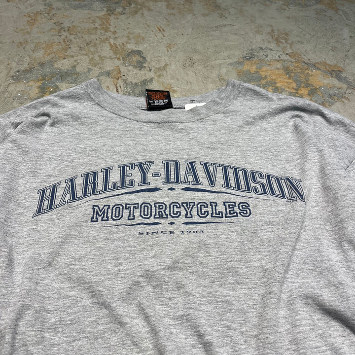 古着 Harley-Davidson/ハーレー ダビッドソン/ラスベガス/ネバダ州/プリントロングTシャツ サイズXXL