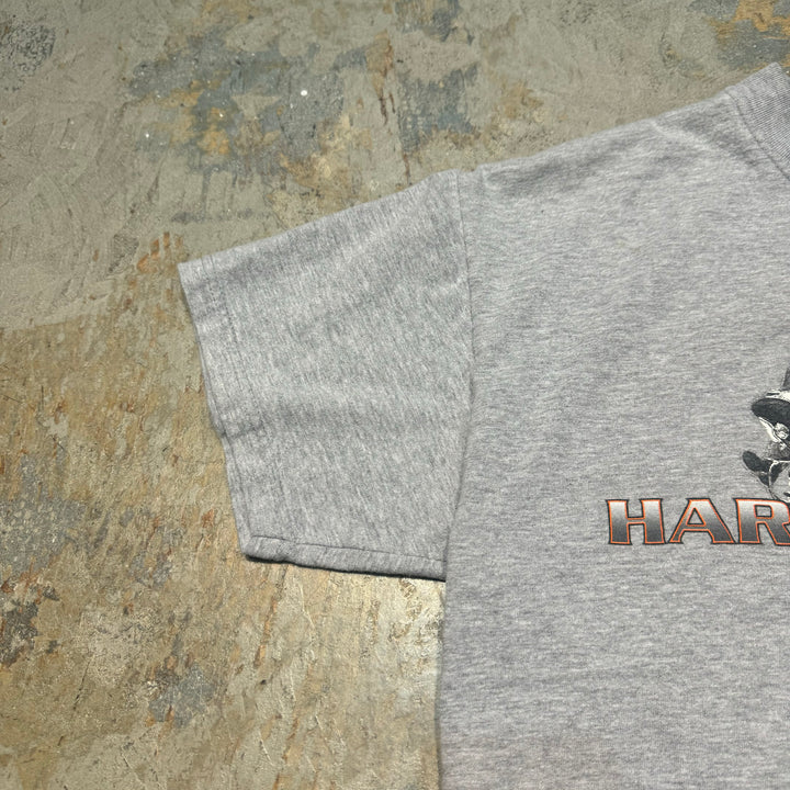 古着 USA製 Harley-Davidson/ハーレーダビッドソン/ プリントTシャツ/ サイズM