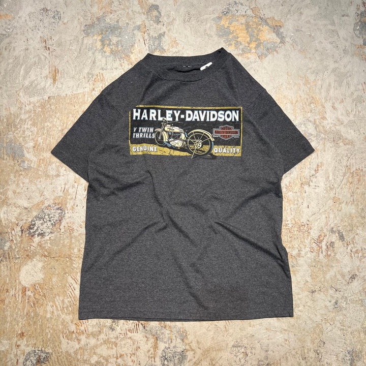 古着 Harley-Davidson  /ハーレー ダビッドソン / アラスカ州 スカグウェイ/ チルクートパス / 峠 / プリントTシャツ / サイズXL相当